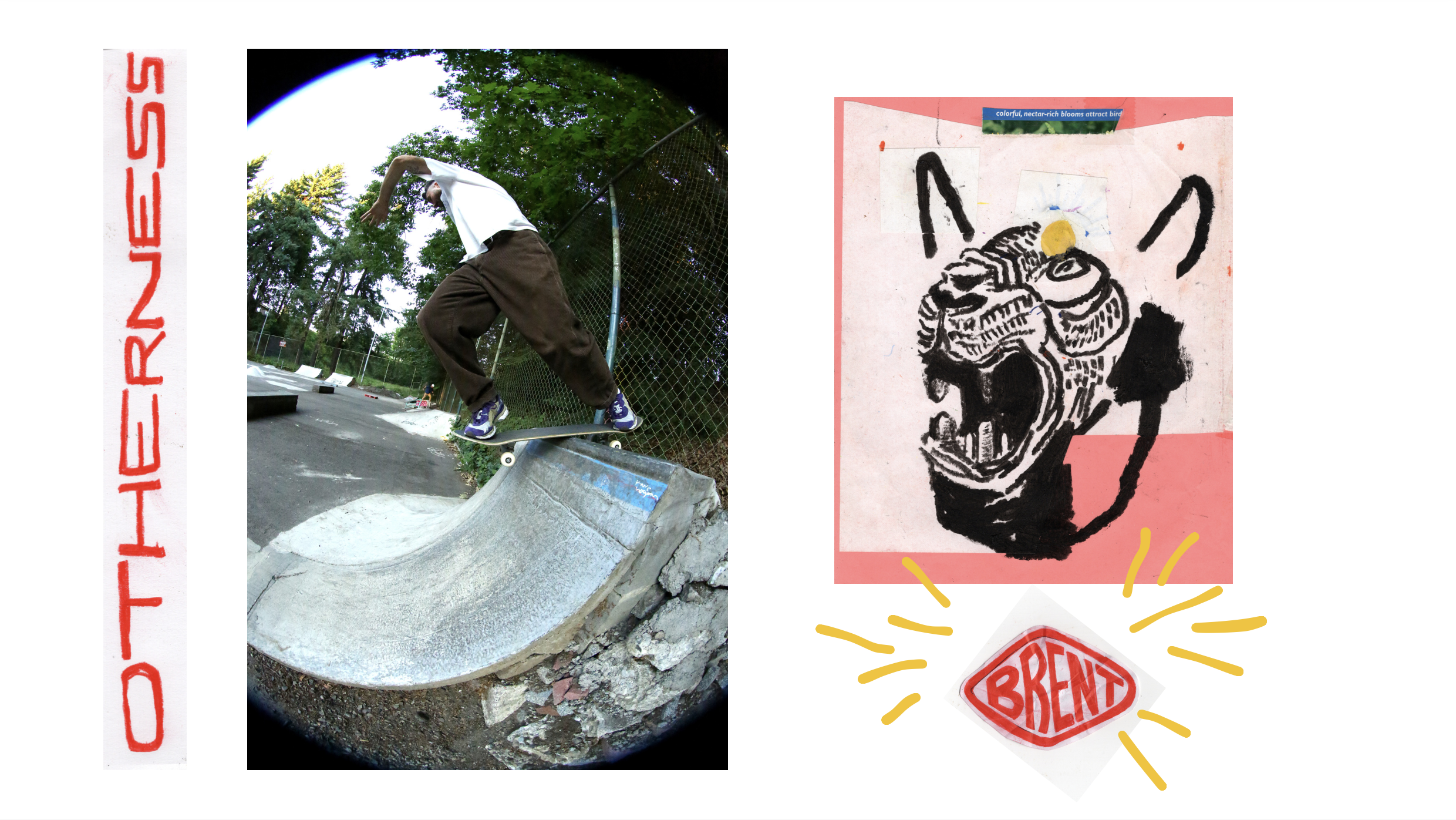 スケートボード OTHERNESS BARKER BARRET 8.625 スケートボード OTHERNESS BARKER BARRET 8.625 OTHERNESS